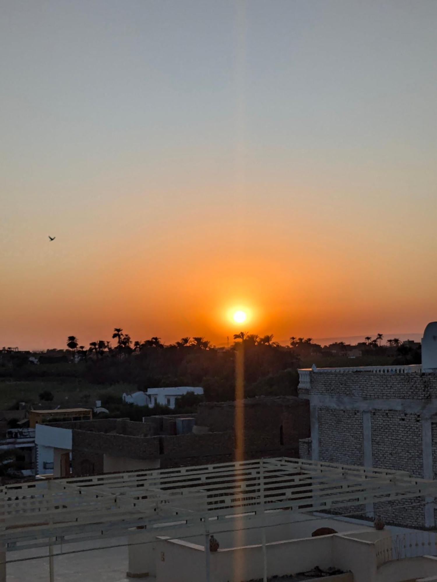 Al Ramla Guest House Λούξορ Εξωτερικό φωτογραφία